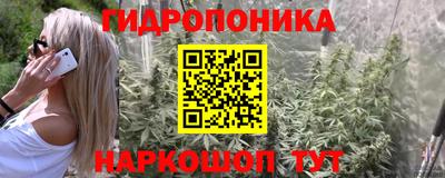 скорость Брянск