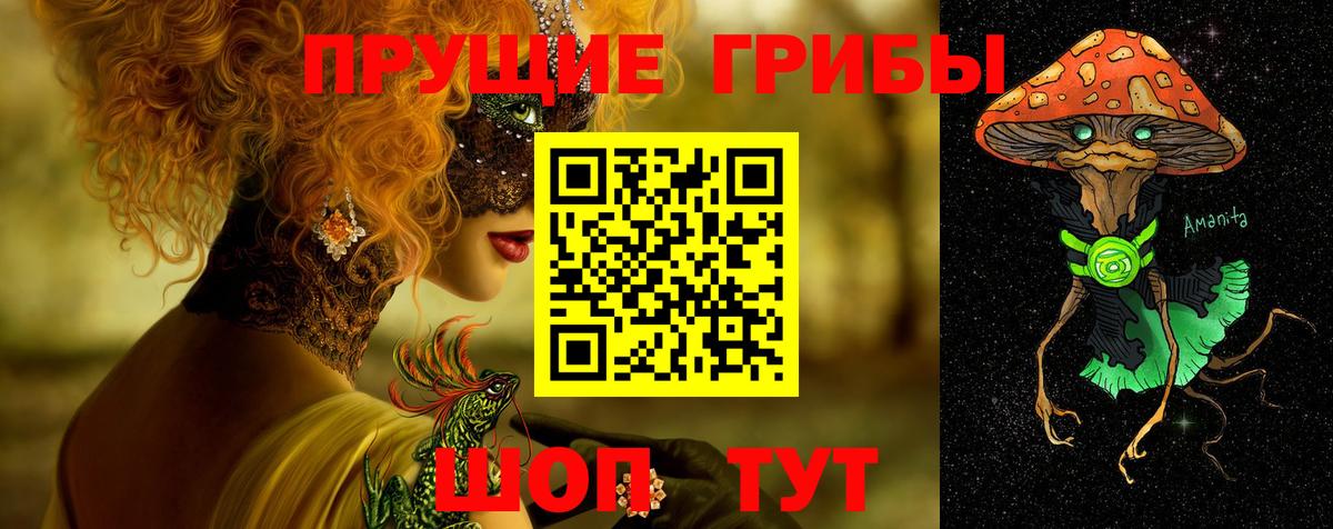 Выборг  Галлюциногенные грибы ЛСД  Вход с VPN 
