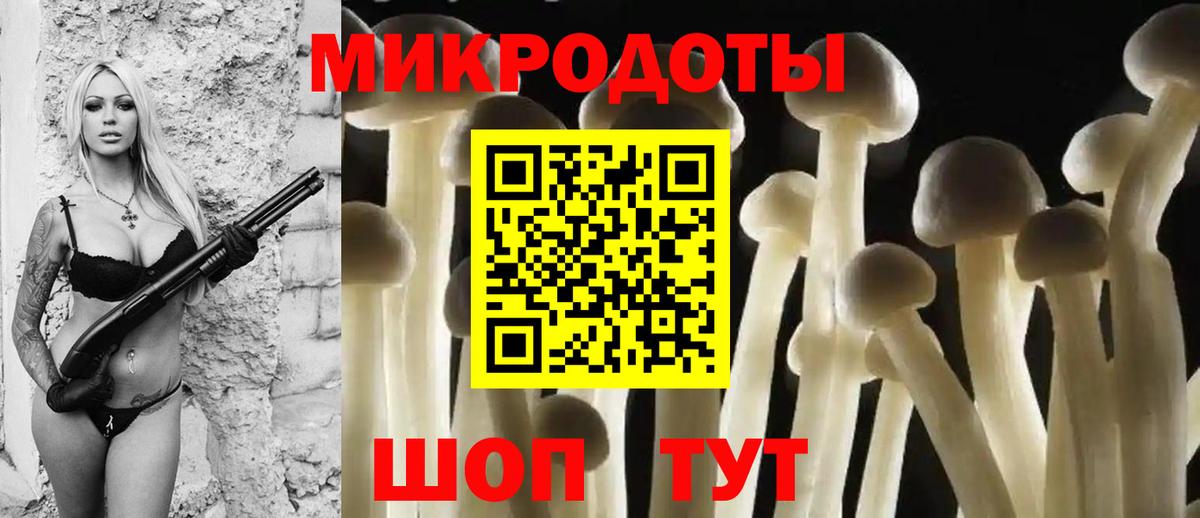 Галлюциногенные грибы Magic Shrooms Выборг